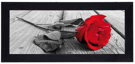 Nowoczesny plakat w czarnej ramie o wymiarach 20x50 cm - Rose 2 POSTERGALERIA