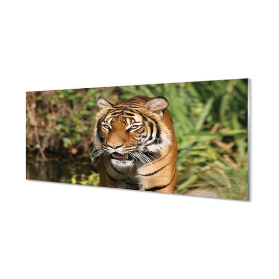 Nowoczesny szklany fotoobraz TULUP Tygrys las 125x50 cm cm Tulup