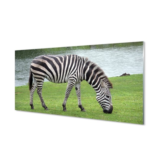 Nowoczesny szklany obraz TULUP Zebra 100x50 cm Tulup