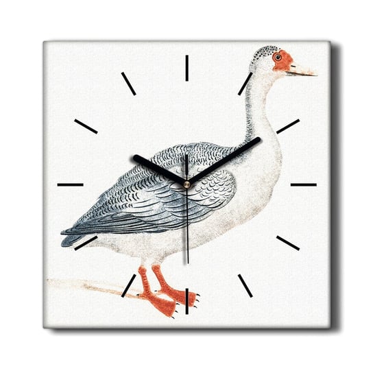 Nowoczesny zegar na płótnie Zwierzę ptak gęś 30x30, Coloray Coloray