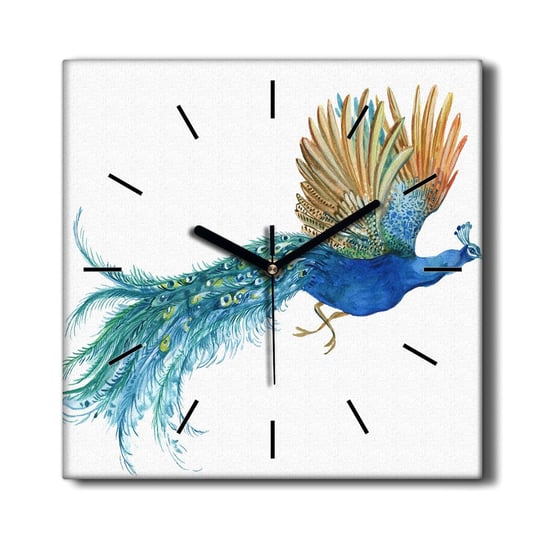 Nowoczesny zegar na płótnie Zwierzę ptak paw 30x30, Coloray Coloray