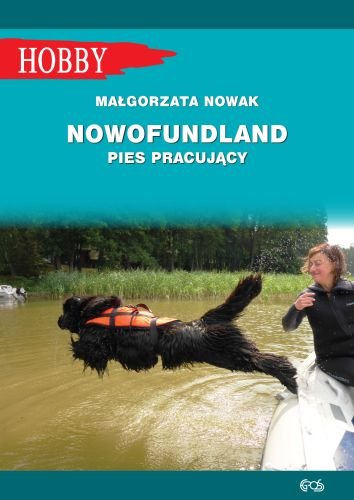 Nowofundland pies pracujący Nowak Małgorzata
