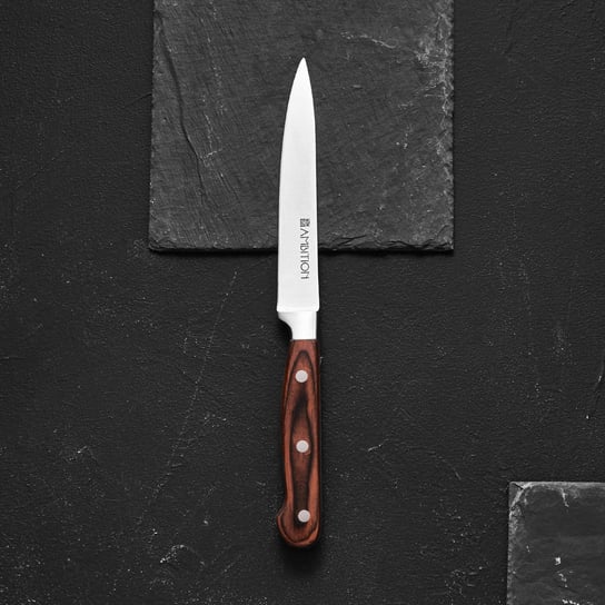 Nóż kuchenny Titanium 13 cm AMBITION Ambition