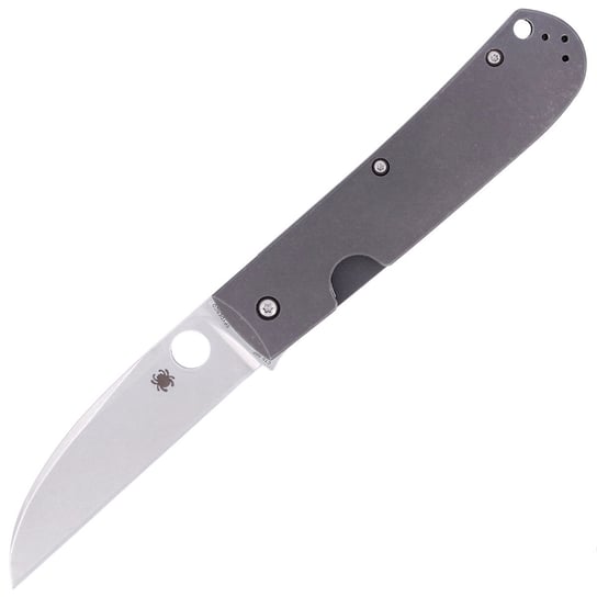 Nóż Spyderco SwayBack Titanium Plain (C249TIP) Spyderco