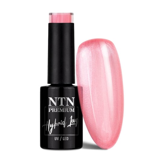 NTN Premium 258 Impression, Kolorowy lakier hybrydowy do paznokci, 5g NTN
