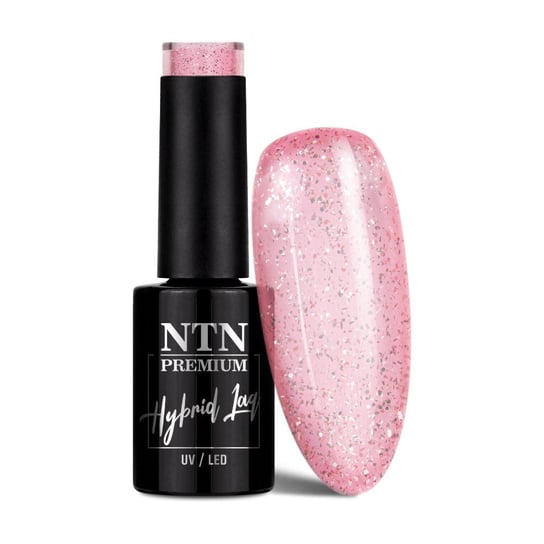 NTN Premium, 259 Impression, Kolorowy lakier hybrydowy do paznokci, 5g NTN