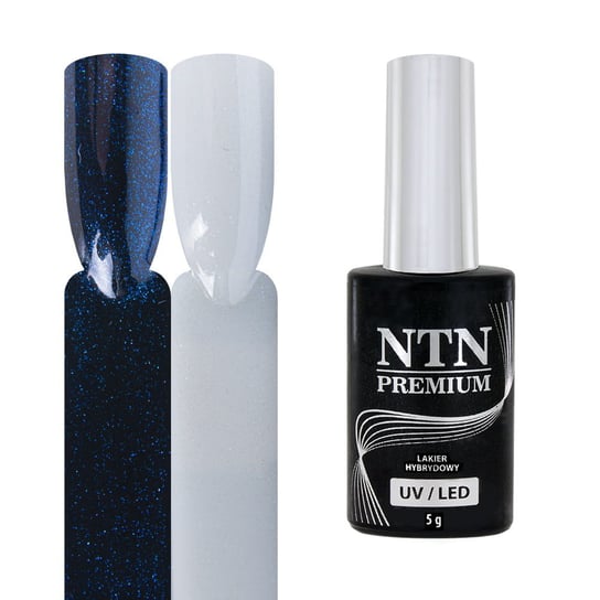 Ntn Premium Shimmer Top No Wipe Aries 5G NTN
