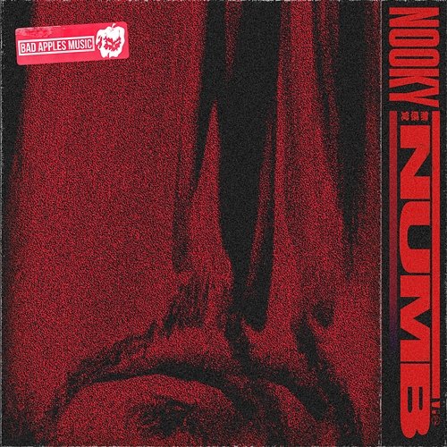 Numb Nooky
