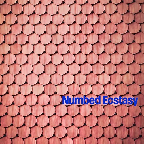 Numbed Ecstasy Roy Misner