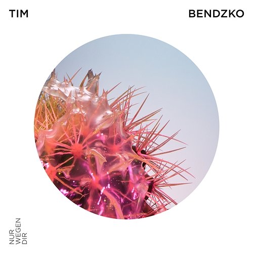 Nur wegen dir Tim Bendzko