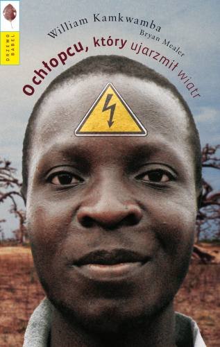 O chłopcu, który ujarzmił wiatr Kamkwamba William, Mealer Bryan
