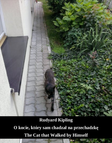 O kocie, który sam chadzał na przechadzkę. The Cat that Walked by Himself Kipling Rudyard