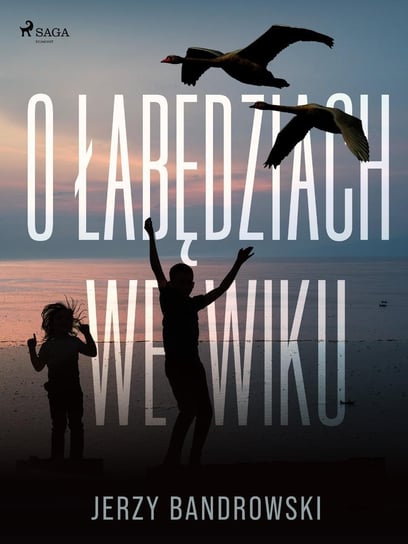 O łabędziach we wiku - ebook mobi Bandrowski Jerzy