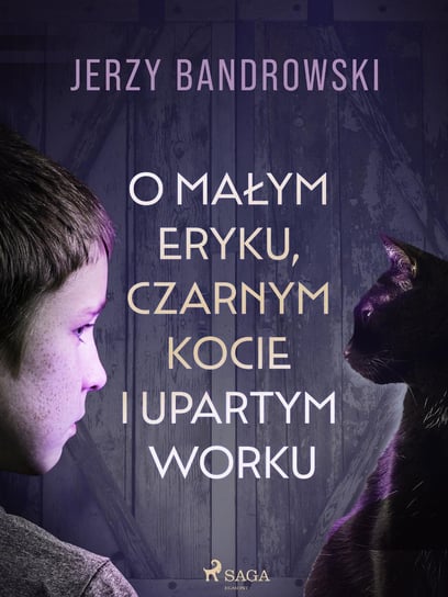 O małym Eryku, czarnym kocie i upartym worku Bandrowski Jerzy
