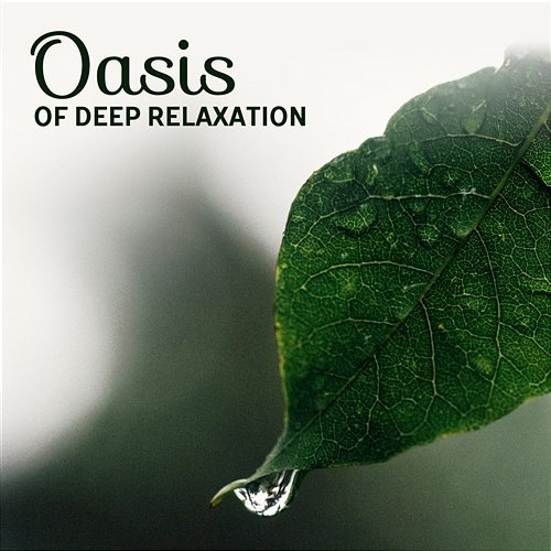 Oasis of Deep Relaxation: Asian Music for Meditation Techniques, Total Relief, Best Yoga Soundtrack, Reiki Healing Chakras, Spiritual Journey, Inner Calm Oriental Music Zone