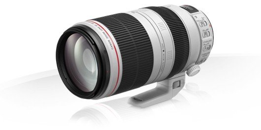 Obiektyw CANON EF 100-400 mm, f/4.5-5.6L, IS II USM, bagnet Canon Canon