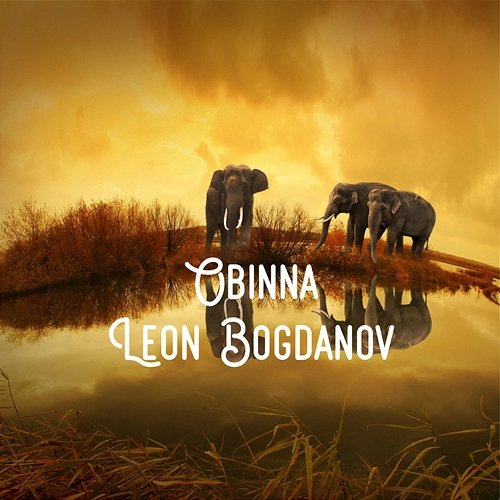 The Wrong Beach Leon Bogdanov