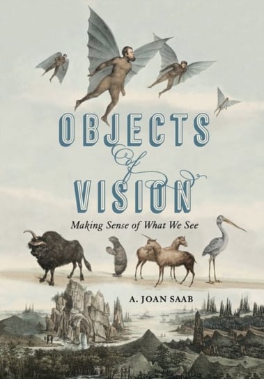 Objects of Vision: Making Sense of What We See Opracowanie zbiorowe