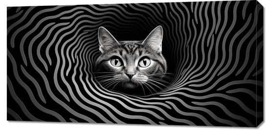 Obraz 100x50cm Hipnotyzujący Koci Wzrok Zakito Posters