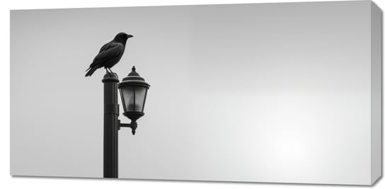 Obraz 100x50cm Samotny Postój Kruka Inna marka