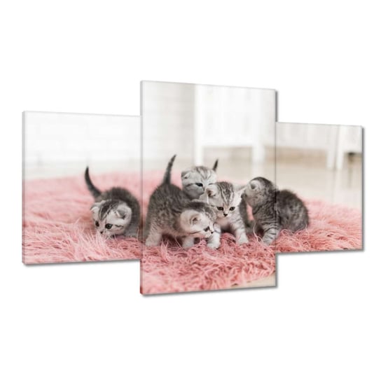 Obraz 100x60cm Pięć małych kotków ZeSmakiem