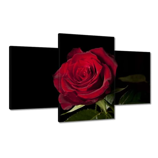Obraz 100x60cm Piękna róża ZeSmakiem
