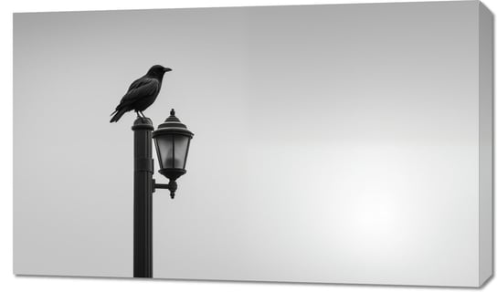 Obraz 100x60cm Samotny Postój Kruka Inna marka
