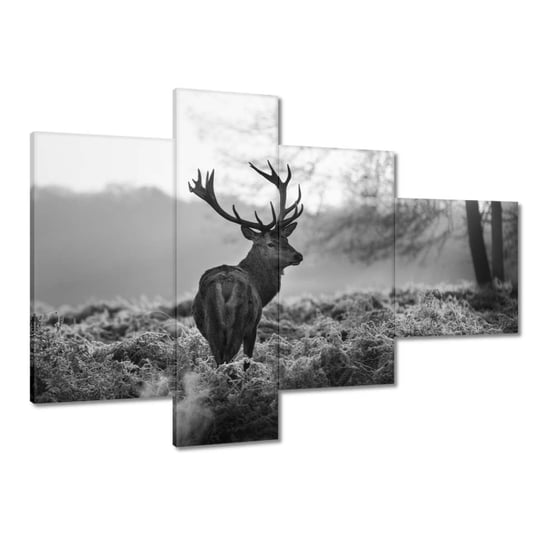 Obraz 100x70cm Czarno-biały jeleń ZeSmakiem