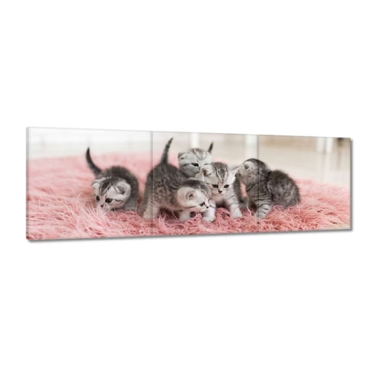 Obraz 120x40cm Pięć małych kotków ZeSmakiem