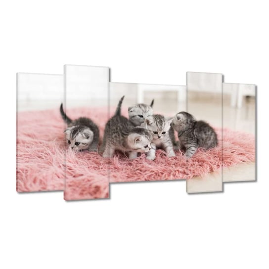 Obraz 120x65cm Pięć małych kotków ZeSmakiem