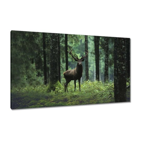 Obraz 120x70cm Jeleń w lesie ZeSmakiem