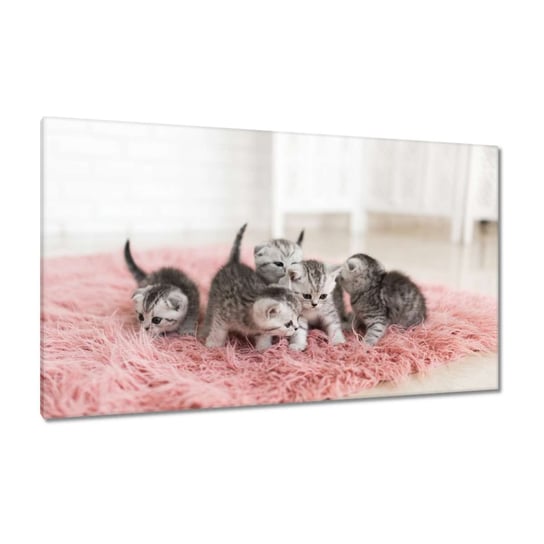 Obraz 120x70cm Pięć małych kotków ZeSmakiem