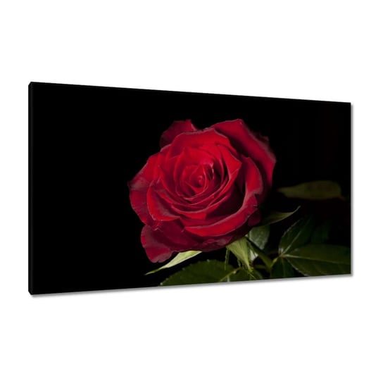 Obraz 120x70cm Piękna róża ZeSmakiem