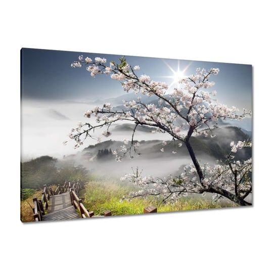 Obraz 120x80cm Japonia kwitnąca wiśnia ZeSmakiem