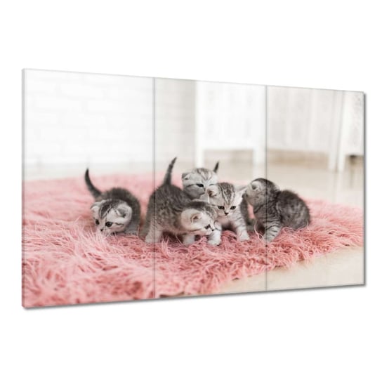 Obraz 120x80cm Pięć małych kotków ZeSmakiem