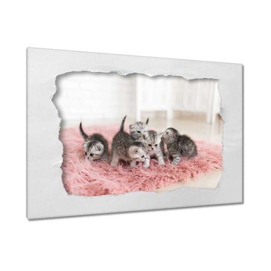 Obraz 120x80cm Pięć małych kotków ZeSmakiem