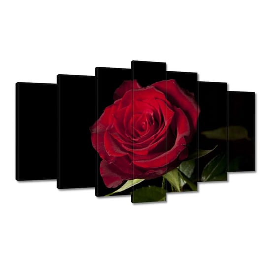 Obraz 140x80cm Piękna róża ZeSmakiem