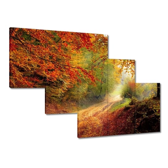 Obraz 150x105cm Droga w lesie ZeSmakiem