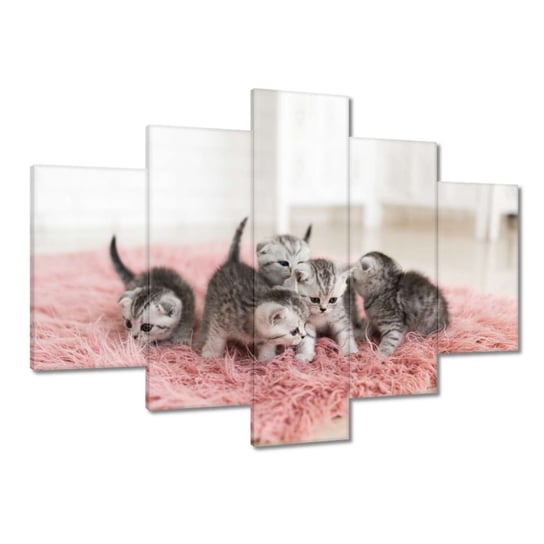 Obraz 150x105cm Pięć małych kotków ZeSmakiem