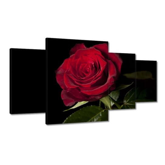 Obraz 160x90cm Piękna róża ZeSmakiem