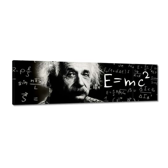 Obraz 170x50cm Albert Einstein ZeSmakiem