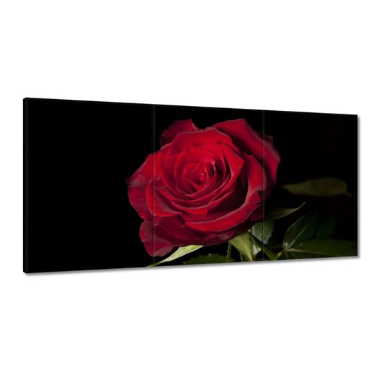 Obraz 180x90cm Piękna róża ZeSmakiem