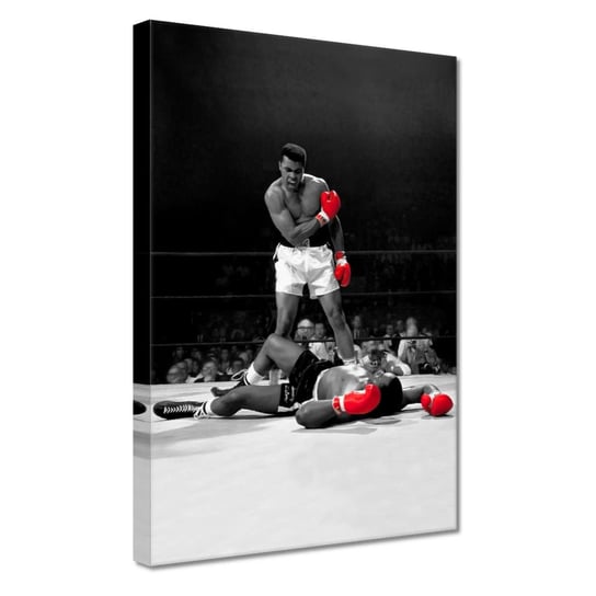 Obraz 20x30cm Muhammad Ali Boxer ZeSmakiem