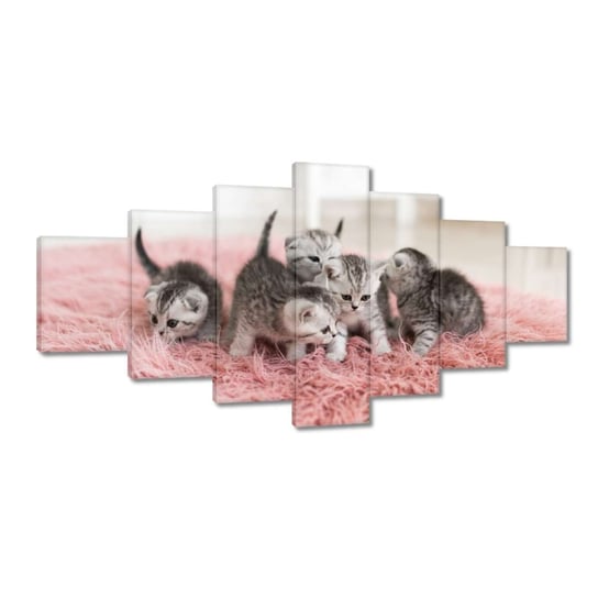 Obraz 210x100cm Pięć małych kotków ZeSmakiem