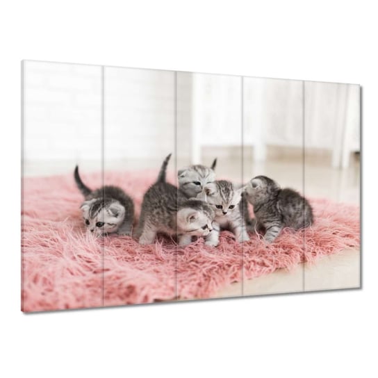 Obraz 225x160cm Pięć małych kotków ZeSmakiem