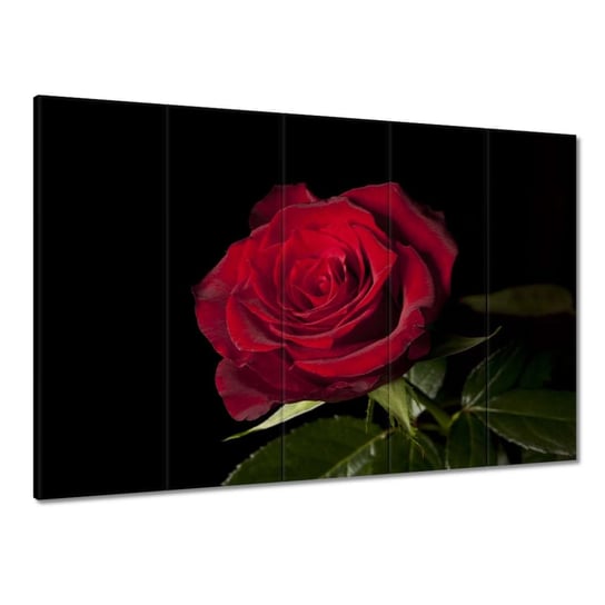Obraz 225x160cm Piękna róża ZeSmakiem