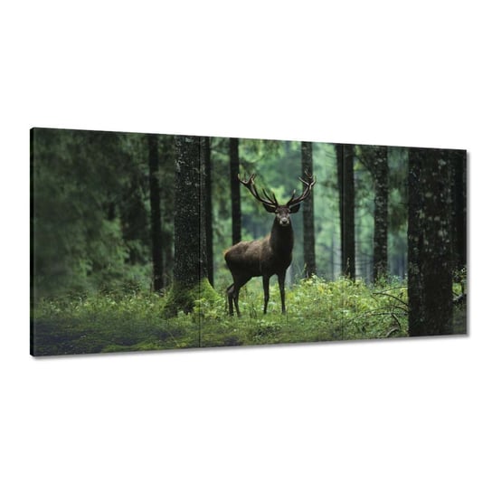 Obraz 240x120cm Jeleń w lesie ZeSmakiem