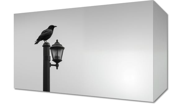 Obraz 30x20cm Samotny Postój Kruka Inna marka