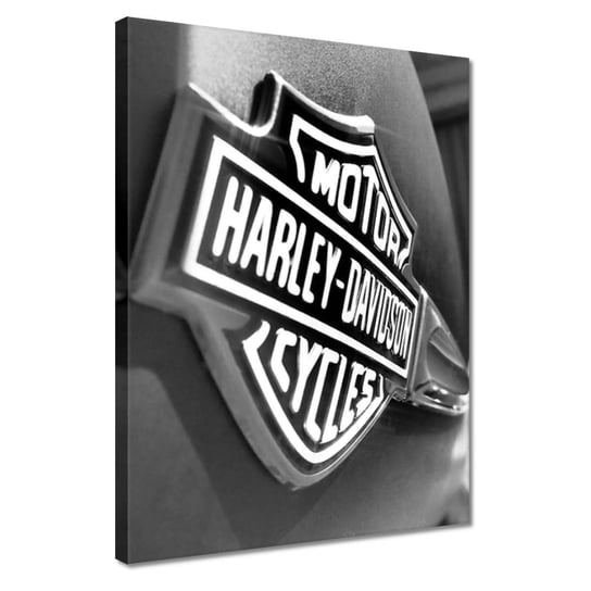 Obraz 30x40cm Logo Harley Davidson ZeSmakiem