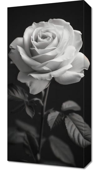 Obraz 30x60cm Płatki Róż Inna marka